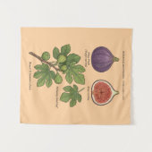 Planche Botanique Figue Ficus Carica  タペストリー (正面(横))