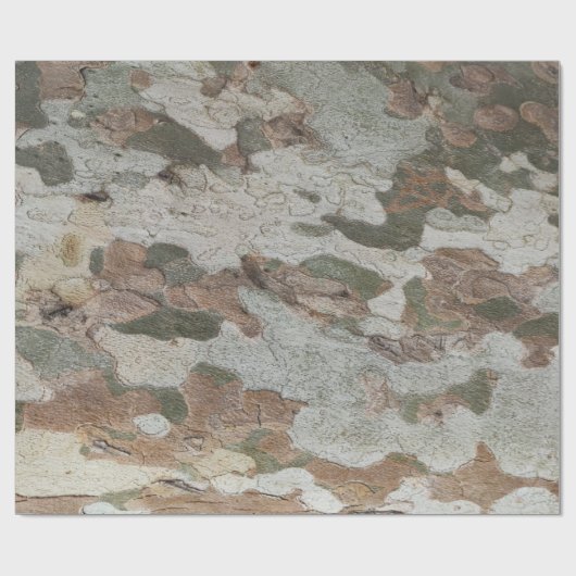Plane tree camouflage looks bark pattern ラッピングペーパー (フラット)