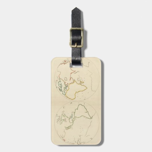 Planisfere (輪郭) ラゲッジタグ (正面縦)