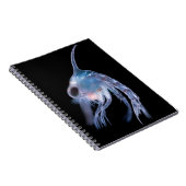 Planktonic Crustacean ノートブック (右側)