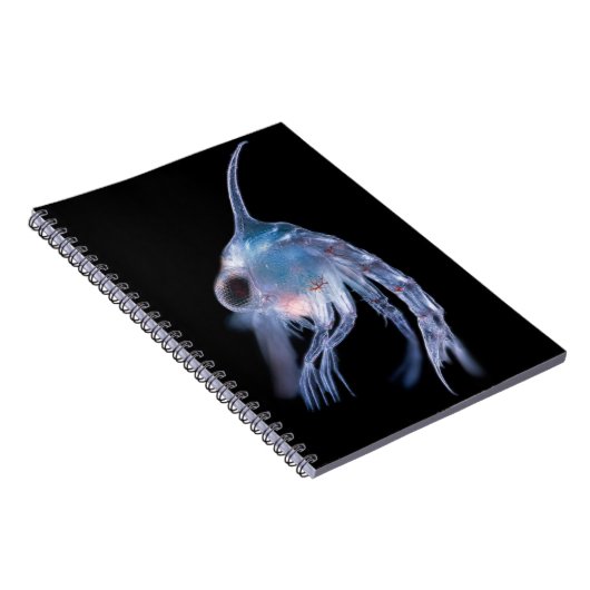 Planktonic Crustacean ノートブック (右側)
