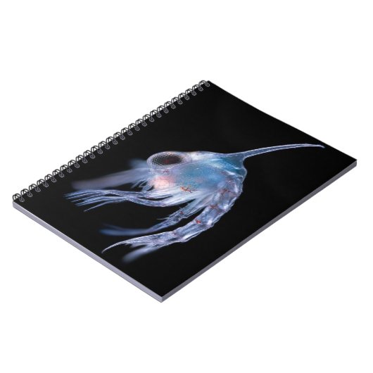 Planktonic Crustacean ノートブック (左側)