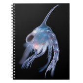Planktonic Crustacean ノートブック (正面)