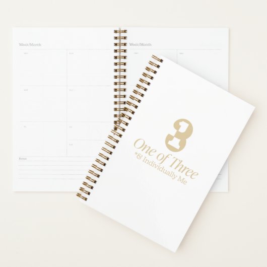 Planner プランナー手帳 (ディスプレー)