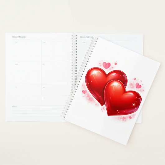 Planner プランナー手帳 (ディスプレー)