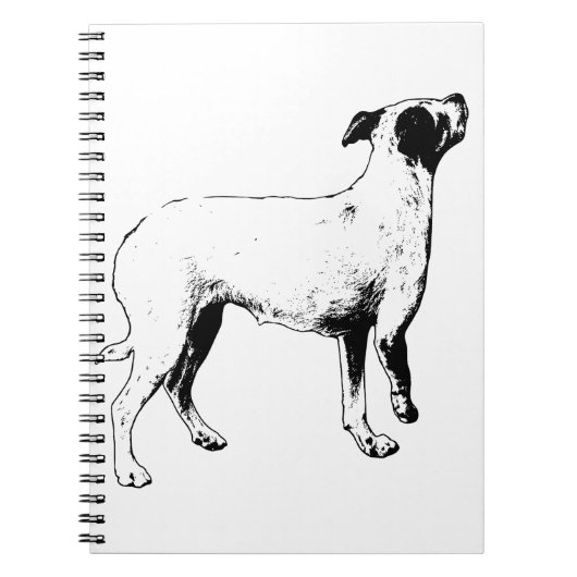 Plans, But Brighter ノートブック (正面)