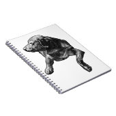 Plans with a Dot-Trimmed Lab ノートブック (右側)