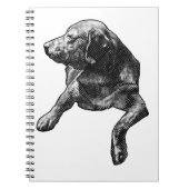 Plans with a Dot-Trimmed Lab ノートブック (正面)