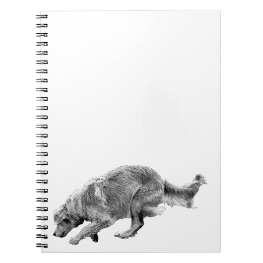 Plans with a Running Golden ノートブック (正面)