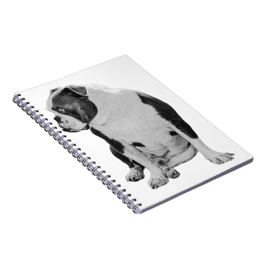 Plans With a Seated Pal ノートブック (右側)