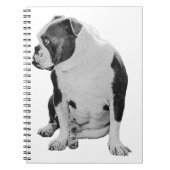 Plans With a Seated Pal ノートブック (正面)