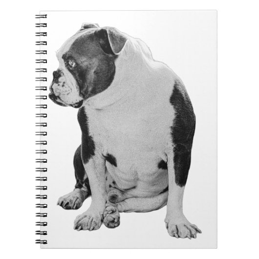 Plans With a Seated Pal ノートブック (正面)