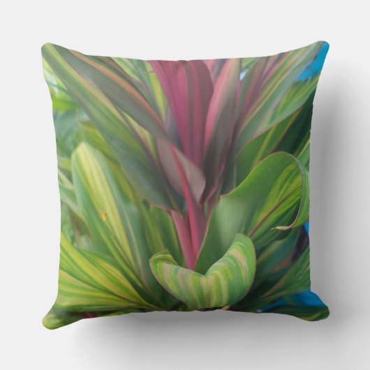 PLANT MORE  クッション (裏面)