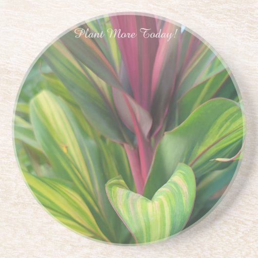 Plant More コースター (正面)
