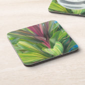 Plant More コースター (左側)