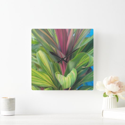 PLANT MORE  スクエア壁時計 (ホーム)