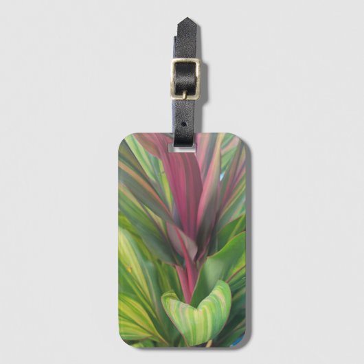 Plant More ラゲッジタグ (正面縦)