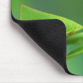 PlantWalker マウスパッド (コーナー)