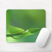 PlantWalker マウスパッド (マウス)