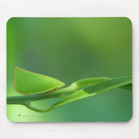 PlantWalker マウスパッド (正面)