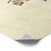 Plate 123 | Black & Yellow Warblers ポスター (角)