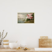 Plate 321 | Roseate Spoonbill | Birds of America ポスター (キッチン)