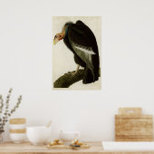Plate 426 | Californian Vulture | Birds of America ポスター (キッチン)
