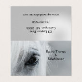 Platinum Equine Custom Folded Business Cards 名刺 (外部フラット)