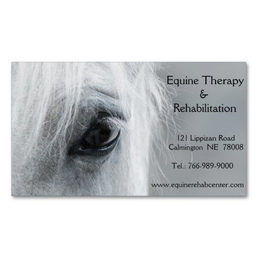 Platinum Equine Custom Magnetic Business Card マグネット名刺 (正面)
