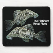 Platinum Royal Pleco マウスパッド (正面)