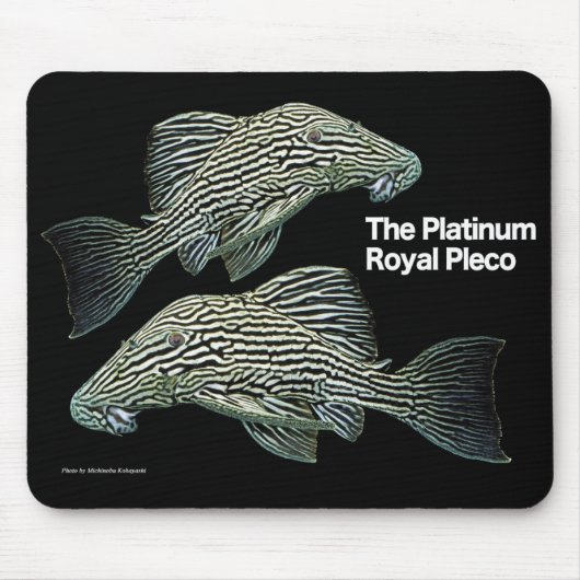 Platinum Royal Pleco マウスパッド (正面)