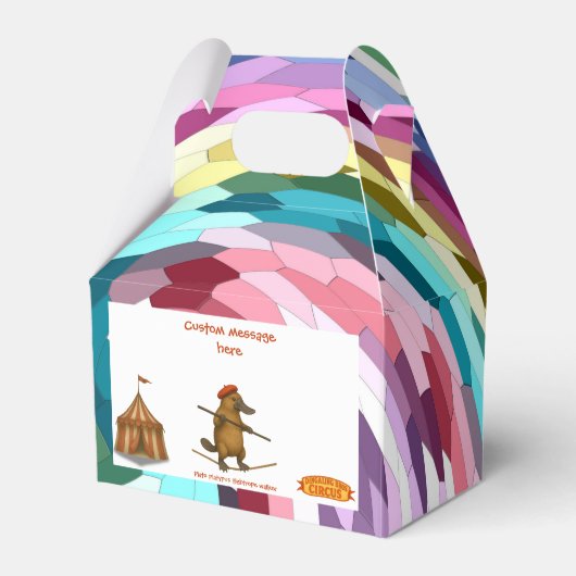 Plato platypus tightrope walker フェイバーボックス (正面サイド)