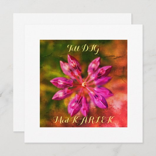 Platt kort Hälsningskort (正面/裏面)