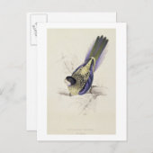 Platycercus BrowniiまたはBrown's Parrakeet (プレート2) ポストカード (正面/裏面)