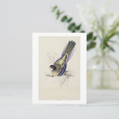 Platycercus BrowniiまたはBrown's Parrakeet (プレート2) ポストカード (スタンド正面)