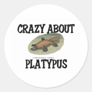 Platyplus熱狂するについて ラウンドシール