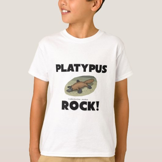 Platypusの石 Tシャツ (正面)
