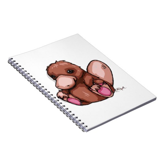 Platypus ノートブック (右側)