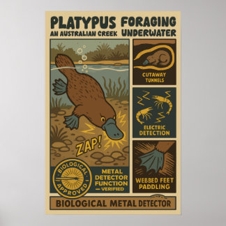 Platypus Biological Metal Detector Art ポスター