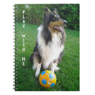 Play with me. Fans de football. ノートブック