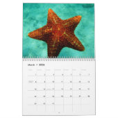 Playa del Carmen、メキシコ カレンダー (3月 2026)