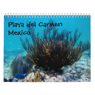 Playa del Carmen、メキシコ カレンダー