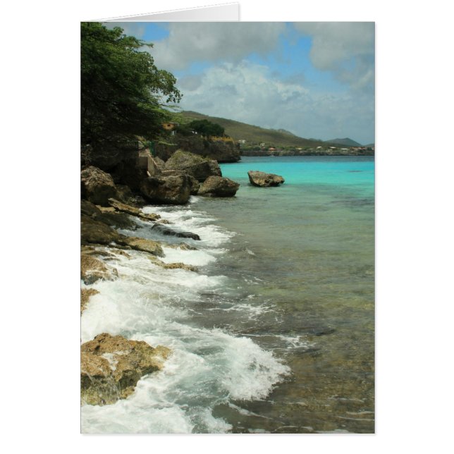 Playa Forti (正面)