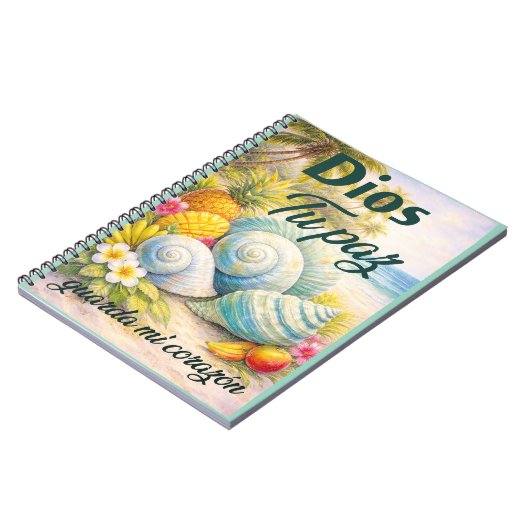 Playa Paz de Dios ノートブック (左側)