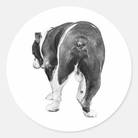 Playful Exit, Feathered Winter Shading ラウンドシール (正面)