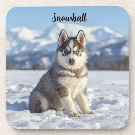 Playful Husky Personalized Beverage Coaster Set コースター (正面)