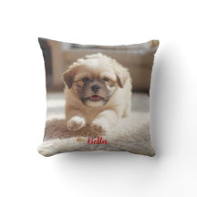 Playful Lhasa Apso Personalized