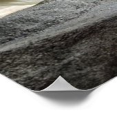 Playful Polar Bear Poster ポスター (角)