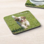 Playful St. Bernard Personalized Coaster Set コースター (左側)