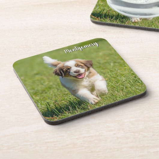 Playful St. Bernard Personalized Coaster Set コースター (左側)